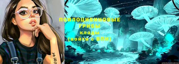 МДМА Богородицк