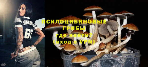 МДМА Богородицк