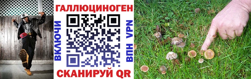 Псилоцибиновые грибы ЛСД  Купить  Арсеньев 
