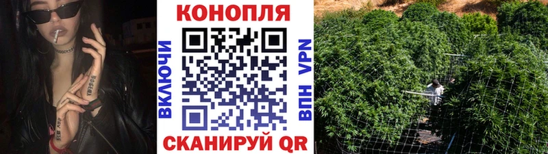 Купить где  Арсеньев  Шишки марихуана SATIVA & INDICA 